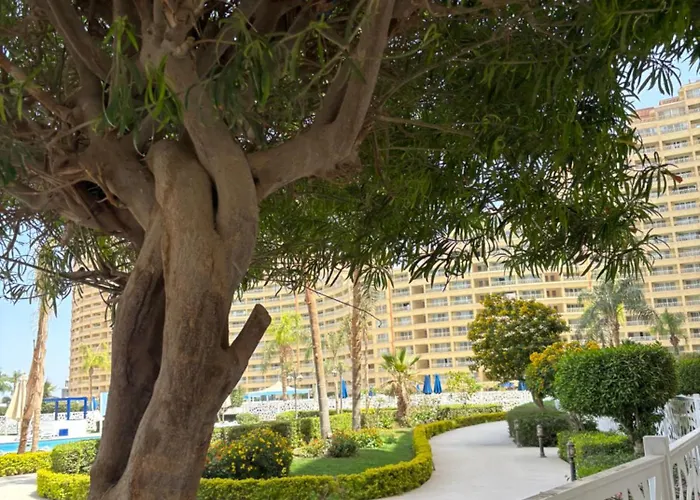 شقة Porto Oasis عين السخنة